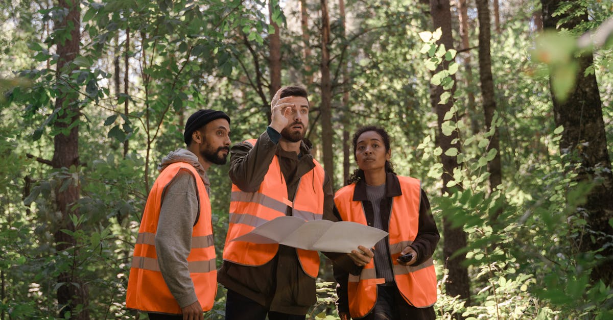 Customisation Options in Surveying Software