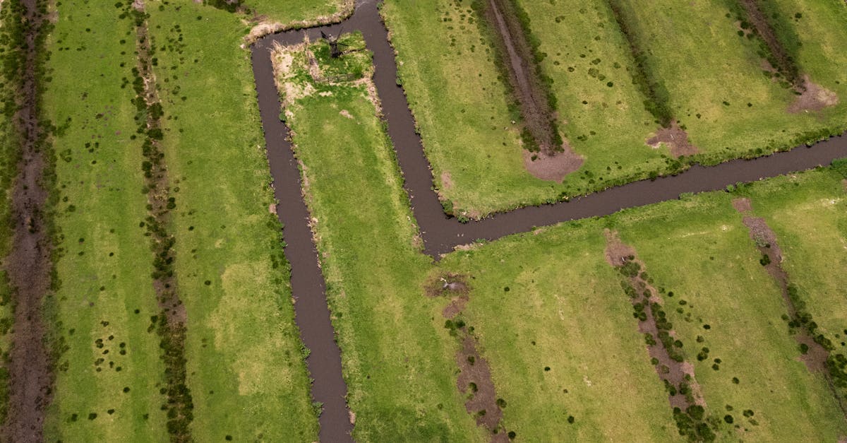 Exploring the Integration of Geodetic Surveys with Other Survey Types