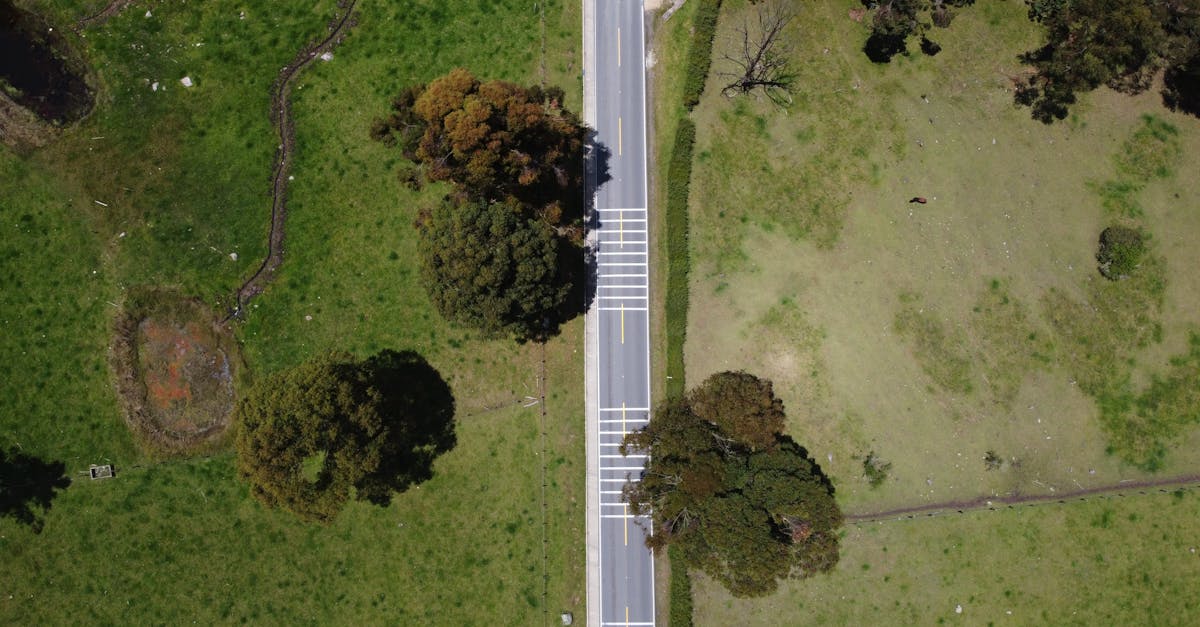 Integrating Total Stations with Survey Software for Enhanced Analysis