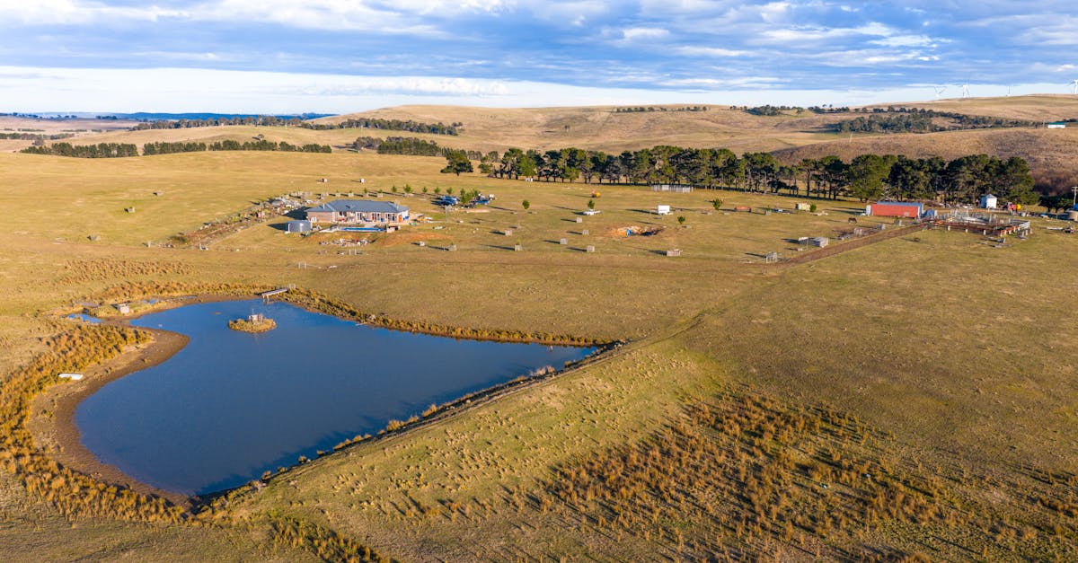 The Future of Survey Data Analysis Software