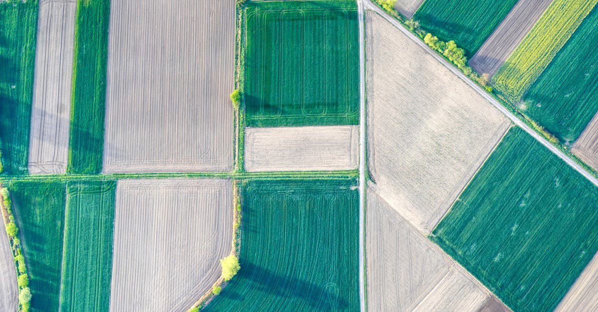 The Role of Professional Associations in Setting Surveying Standards