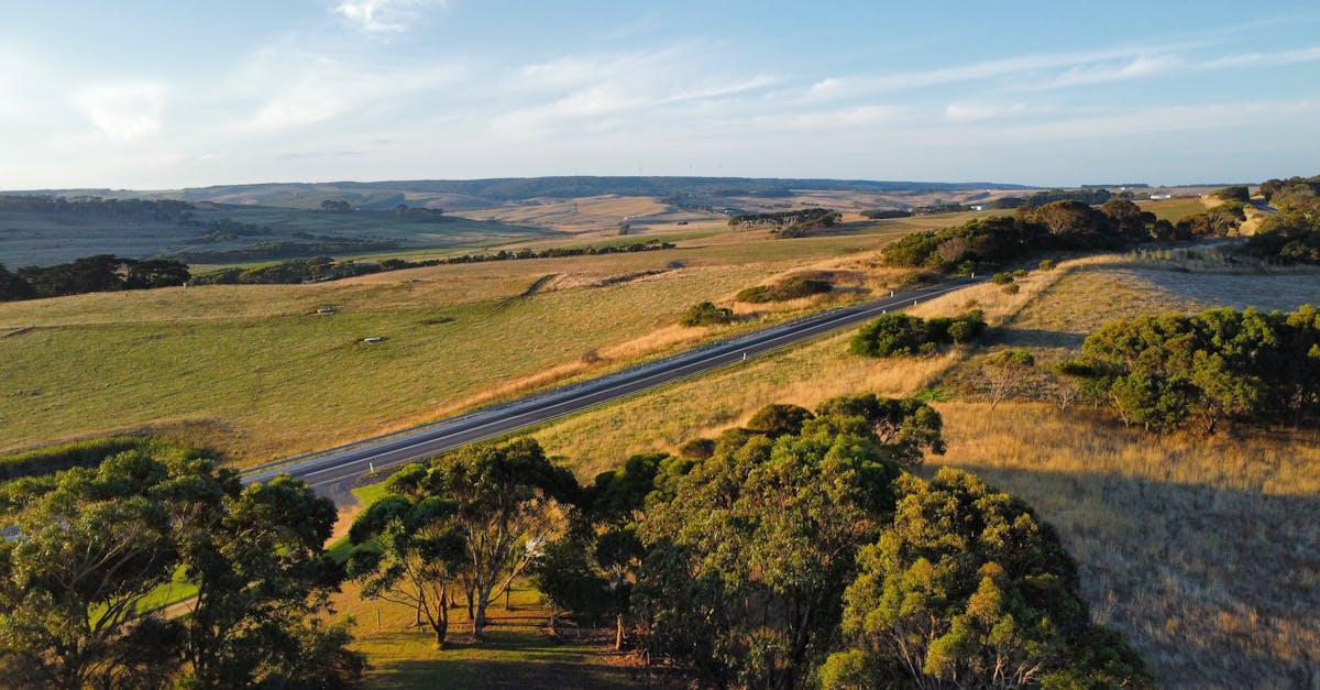 The Role of Topographic Surveys in Environmental Planning