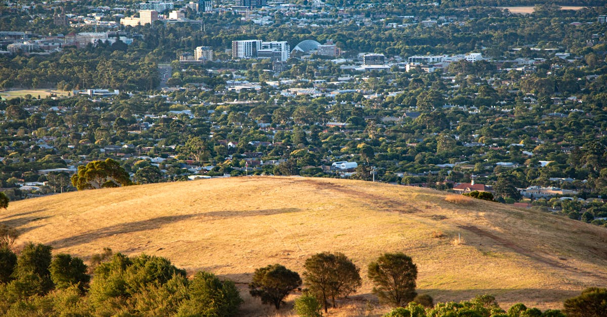 Understanding the Influence of Local Zoning Laws on Surveying Practices in Geelong